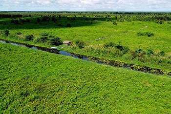 Hệ sinh thái ngập nước, đầm lầy than bùn còn lại ở Việt Nam rất quý hiếm tại Vườn Quốc gia U Minh Thượng. (Ảnh: MekongDeltaExplorer)