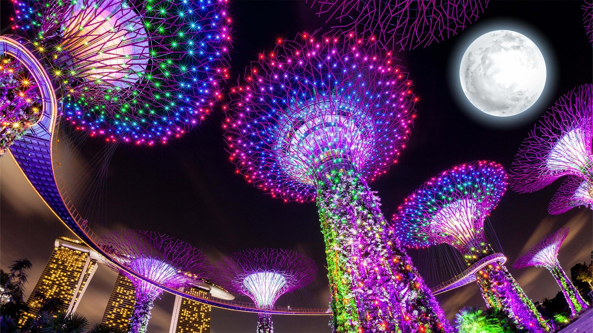 Trình diễn ánh sáng hiện đại trong dịp Trung thu 2022 tại Singapore. (Ảnh: Gardens by the Bay)