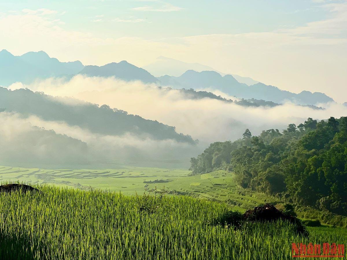 Đến Pù Luông để hòa mình vào thiên nhiên xanh biếc ảnh 3