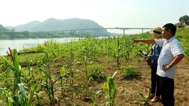 Chánh thanh tra Sở TNMT tỉnh Tuyên Quang Nguyễn Trường Lâm, kiểm tra thực địa tại khu vực thôn 4, xã Thái Bình, nơi người dân phản ánh có hiện tượng sạt, lở bờ sông.