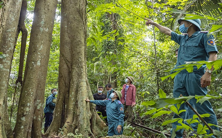 Cán bộ quản lý rừng đặc dụng, phòng hộ Thái Nguyên tuần tra kiểm tra rừng tại Khu dự trữ thiên nhiên Thần Sa-Phượng Hoàng. Ảnh: Báo Thái Nguyên