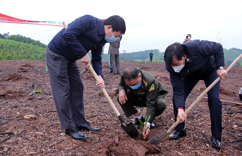 Các đại biểu tham gia trồng cây sau Lễ phát động.