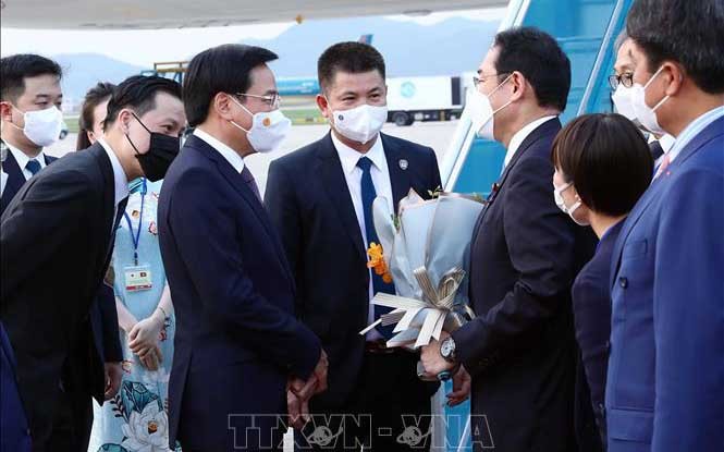 Bộ trưởng, Chủ nhiệm Văn phòng Chính phủ Trần Văn Sơn đón Thủ tướng Nhật Bản Kishida Fumio tại sân bay Quốc tế Nội Bài (Hà Nội). (Ảnh: TTXVN)