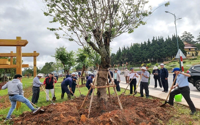 Lãnh đạo tỉnh Lâm Đồng cùng các đoàn thể tham gia lễ phát động trồng rừng, cây xanh phân tán năm 2022.