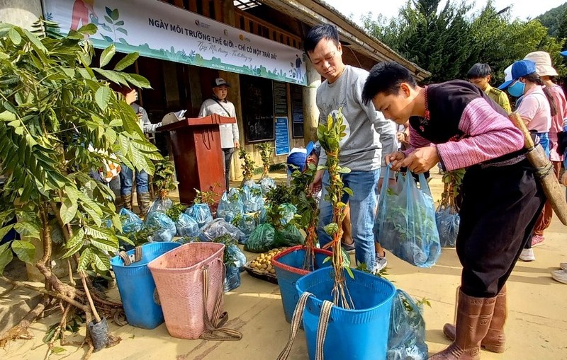 Gần 6.000 cây được trồng ở Vân Hồ, Sơn La nhân Ngày Môi trường thế giới.