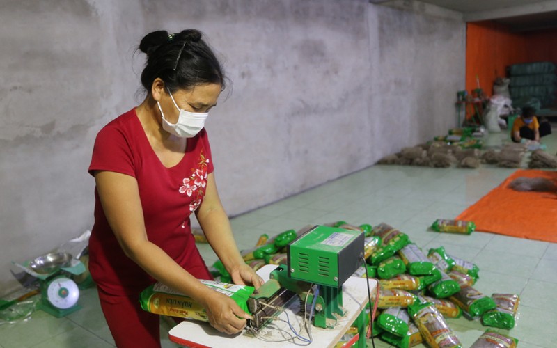 Hoạt động đóng gói miến tại một cơ sở chế biến ở xã Côn Minh, huyện Na Rì. (Ảnh: NGỌC TÚ)