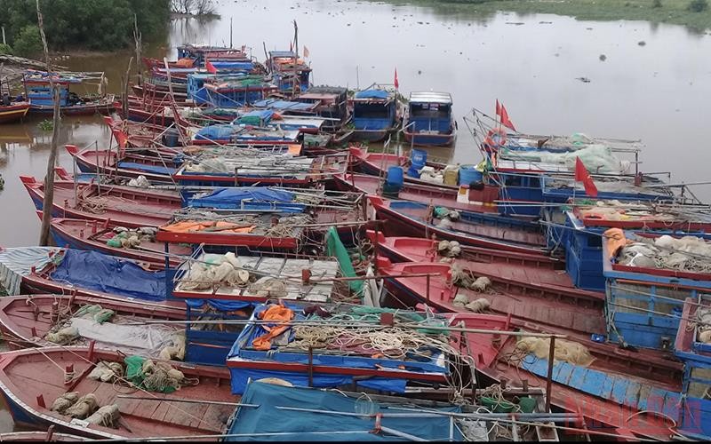 Nhiều tàu, thuyền ở Thái Bình đã vào nơi neo đậu an toàn.