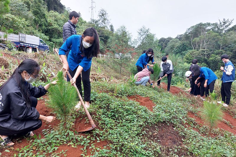 Đoàn viên thanh niên tỉnh Kon Tum ra quân trồng thông ba lá dọc tuyến đường tránh đèo Măng Đen.