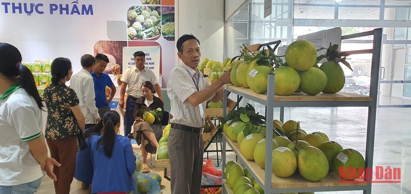 Điểm trưng bày nông sản an toàn và sản phẩm làng nghề truyền thống Việt Nam.