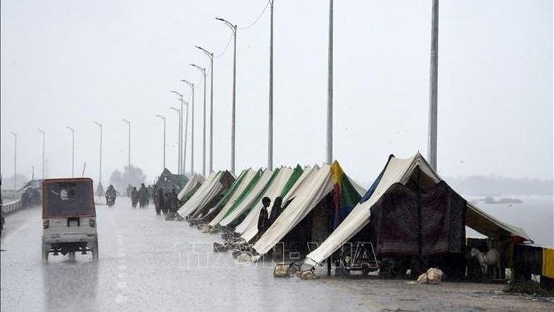 Người dân sơ tán tránh lũ ở trong các lều tạm tại Sukkur, tỉnh Sindh, Pakistan ngày 27/8/2022. (Ảnh: AFP/TTXVN)