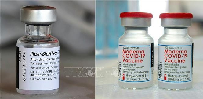 Vaccine ngừa Covid-19 của Moderna và Pfizer/BioNTech. (Ảnh: AFP/TTXVN)