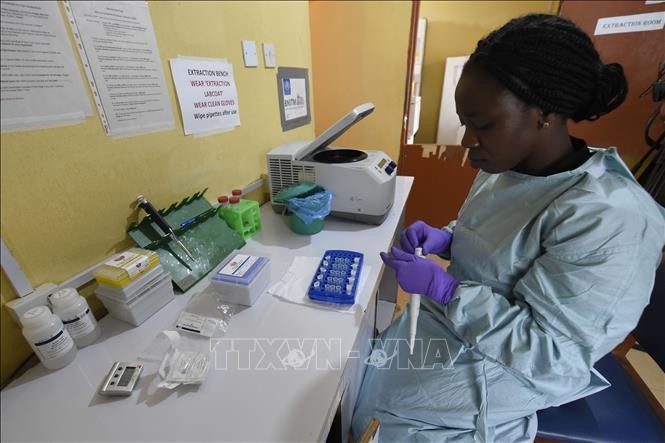 Nhân viên y tế làm việc tại phòng thí nghiệm tại Viện Kiểm soát và nghiên cứu bệnh cúm Lassa ở Irrua, bang Edo, Nigeria. (Ảnh: AFP/TTXVN)