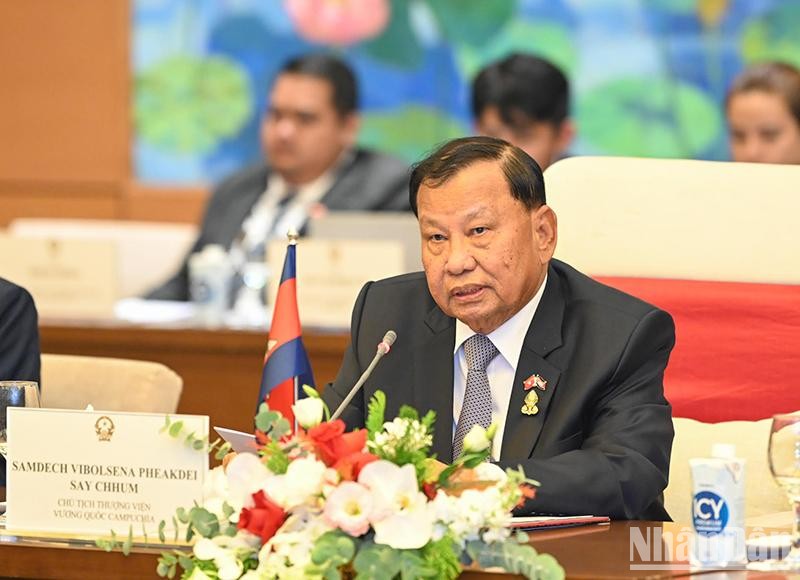  Chủ tịch Quốc hội đón, hội đàm với Chủ tịch Thượng viện Campuchia ảnh 1