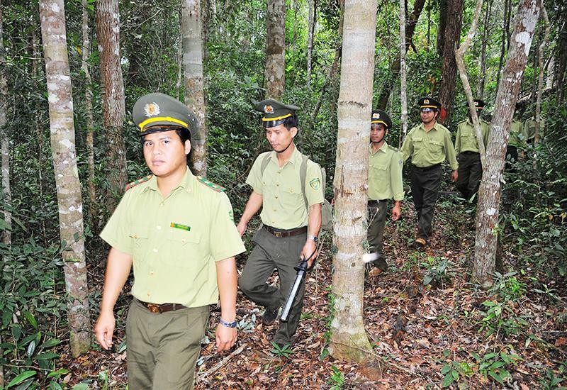 Cán bộ, nhân viên Ban Quản lý Khu bảo tồn thiên nhiên Kon Chư Răng (Gia Lai) tuần tra bảo vệ rừng.