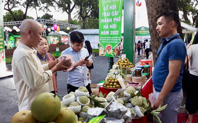 Hà Nội tổ chức Lễ hội trái cây năm 2022 ảnh 2