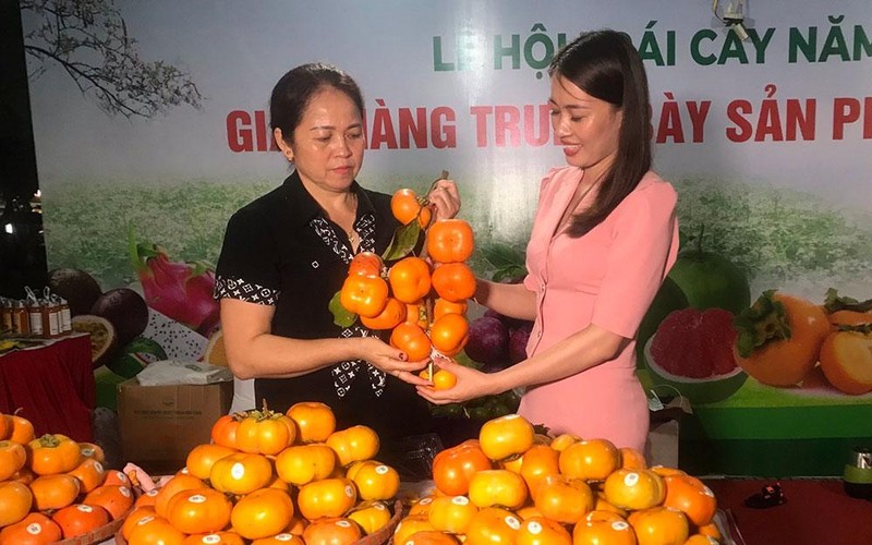Hà Nội tổ chức Lễ hội trái cây năm 2022 ảnh 1