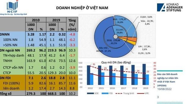 Thiết kế chính sách phát triển doanh nghiệp lớn ảnh 1