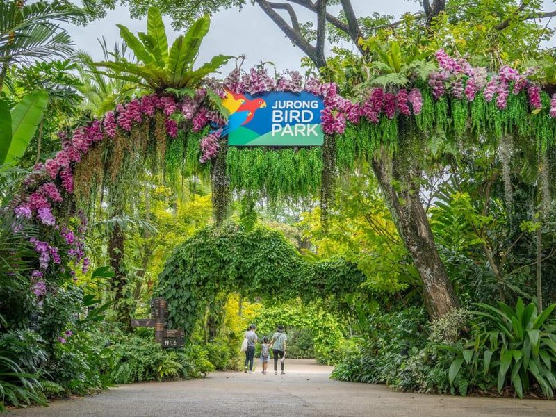 Vườn chim Jurong sẽ đóng cửa vào đầu năm 2023. (Ảnh: CNA)