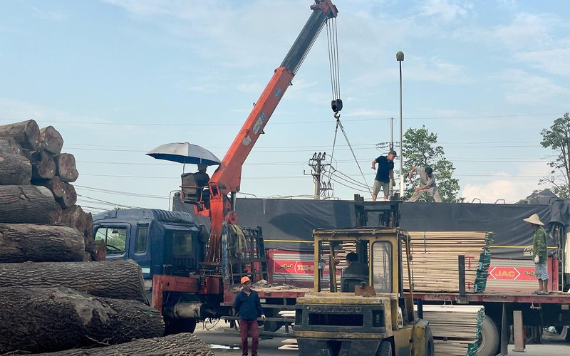 Công ty Tân Thành Long (Hà Nội) chuyên sản xuất gỗ tự nhiên, ván công nghiệp với nguyên liệu phần lớn nhập từ nước ngoài. 