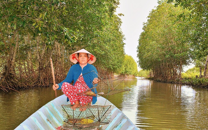 Nông dân xã Đất Mũi (huyện Ngọc Hiển, tỉnh Cà Mau) thăm ngư cụ bắt thủy sản nuôi tự nhiên dưới tán rừng ngập mặn.