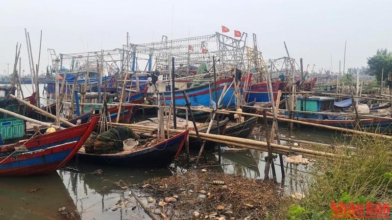 Tàu thuyền vào nơi tránh trú an toàn với bão số 2 ở ven biển ở huyện Nghĩa Hưng, Nam Định (Ảnh minh họa: Trần Khánh).