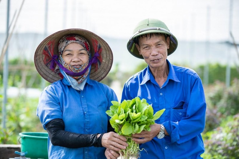 Cách lựa chọn được đúng thực phẩm sạch