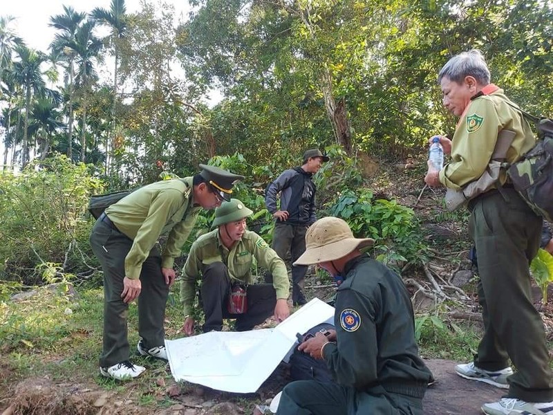 Trước áp lực trong công tác quản lý bảo vệ rừng, thu nhập thấp khiến nhiều kiểm lâm và lực lượng chuyên trách bảo vệ rừng ở Quảng Ngãi xin nghỉ việc.
