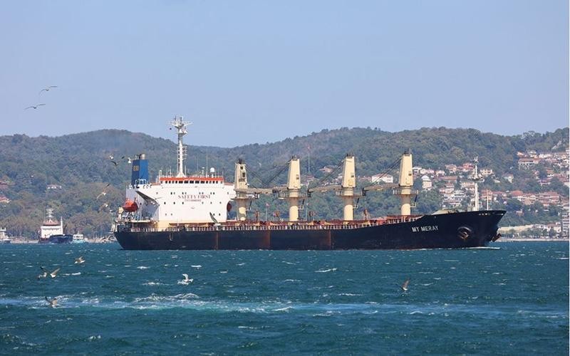 Tàu chở ngũ cốc Ukraine neo đậu tại cảng ở Thổ Nhĩ Kỳ. (Ảnh Reuters) 
