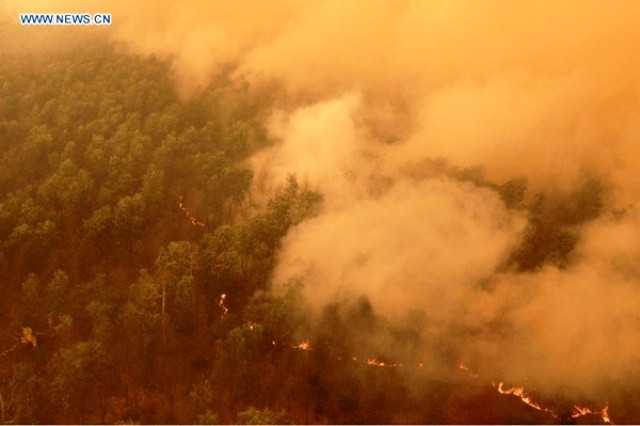 Cháy rừng tại tỉnh Nam Sumatra (Indonesia), ngày 20-10-2015. (Ảnh: Tân Hoa xã)