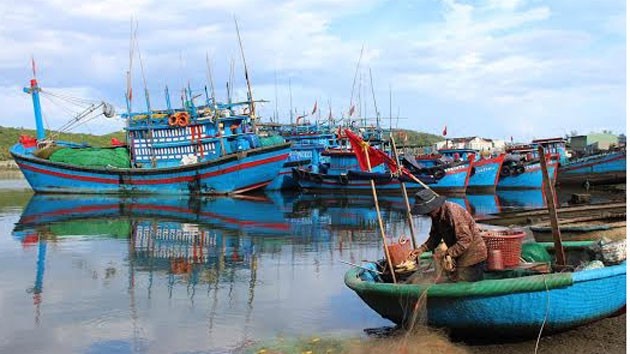 Vũng neo đậu tàu thuyền ở Sa Huỳnh không bảo đảm cho tàu trú, tránh bão.